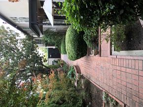 Lodi apartment for rent - the side of a brick building with plants on it