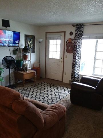 Hayden Lake apartment for rent - a living room with a couch and a tv