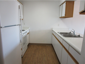 Payette apartment for rent - Louise Garden Vacant Kitchen