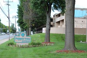 Springfield apartment for rent - A sign for Pepper Tree Apartments is in front of a grassy area.