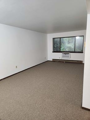 Wauwatosa apartment for rent - an empty room with carpet and a window
