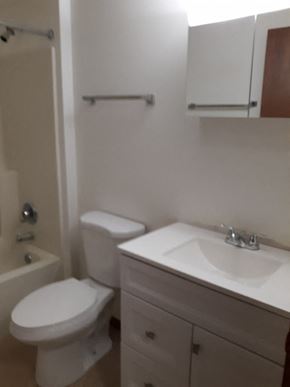 Sussex apartment for rent - A white toilet sits next to a sink in a small bathroom.