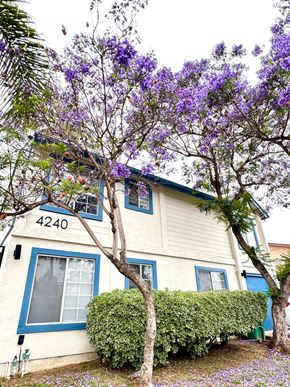 San Diego apartment for rent - A house with the number 4240 on it.