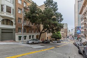 San Francisco apartment for rent - A tree in the middle of a street with cars parked on the side.