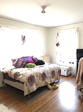Ithaca apartment for rent - A bedroom with a bed, a dresser, and a window.