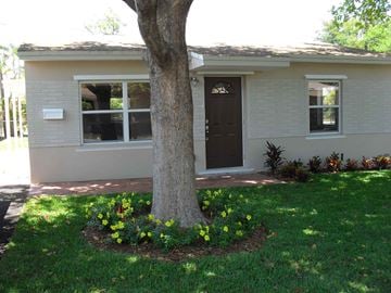 Oakland Park house for rent - a tree in the front yard of a house