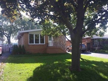 Hamilton house for rent - a house with a tree in front of it
