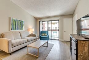 San Diego apartment for rent - Furnished Living Room
