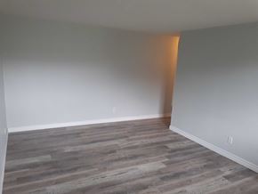 Waterloo apartment for rent - a empty room with wood flooring and white walls
