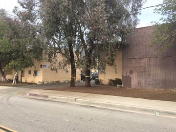 West Covina apartment for rent - A tree in front of a tan building with a brown wall.