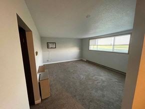 Leonard apartment for rent - A room with a carpeted floor and a window with blinds.