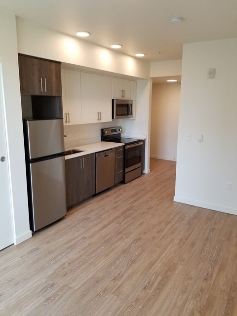 Floor plan for studio, 1 bath, 316 sqft