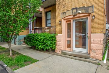 Pittsburgh apartment for rent - A tree is in front of a building with a door that has a window above it.