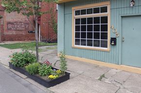 Pittsburgh apartment for rent - A flower box is on the sidewalk in front of a green door.