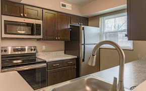 Carlisle apartment for rent - a kitchen with a sink and a refrigerator
