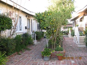San Pedro apartment for rent - A pathway with a tree and potted plants in front of a house.