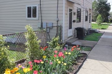 Pittsburgh apartment for rent - A flower bed with red, yellow and pink tulips in front of a house.