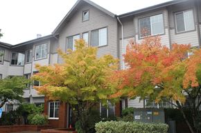 Portland apartment for rent - the outside of a building with trees in front of it