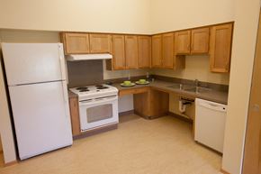 Vancouver apartment for rent - a kitchen with a stove refrigerator and sink