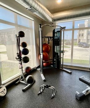 Ankeny apartment for rent - A home gym with a variety of equipment including a weight rack, dumbbells, and a bench.
