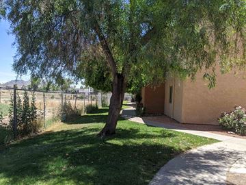 Phoenix apartment for rent - A tree in a yard in front of a house.
