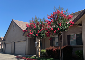 Fresno apartment for rent - Nees Park Exterior