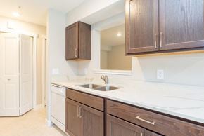 Grand Rapids apartment for rent - a kitchen with a sink and wooden cabinets