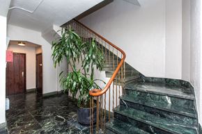 San Francisco apartment for rent - A plant sits on a stand next to a staircase.