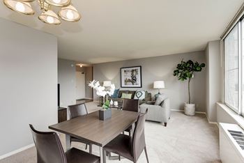 Living room area