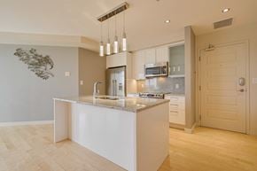 Edmonton apartment for rent - a kitchen with a large island and a door to a living room