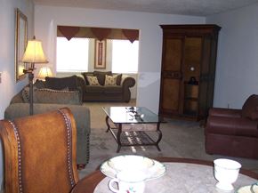 Boiling Springs apartment for rent - A living room with a couch, chair, and coffee table.