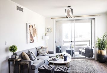 Culver City apartment for rent - A living room with a grey couch, a coffee table, and a painting of a horse on the wall.