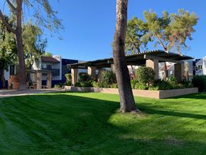 Phoenix apartment for rent - A tree stands in a grassy area in front of a building.