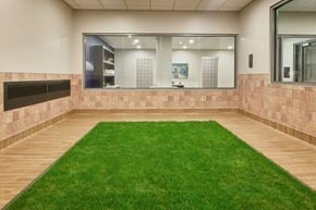 Seattle apartment for rent - huge indoor pet retreat with plenty of room to play, grooming stations and real sod relief area