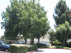 Hayward apartment for rent - a parking lot with cars and trees in front of a building
