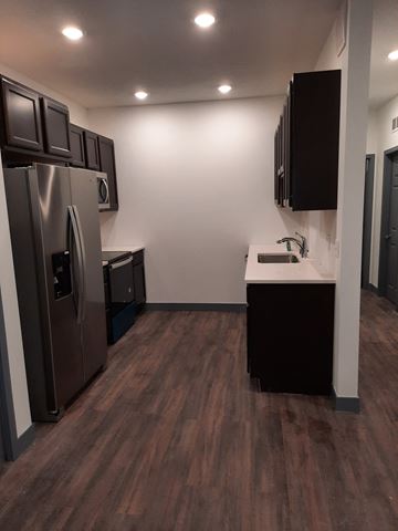 Saint Paul apartment for rent - a kitchen with a stainless steel refrigerator and a sink