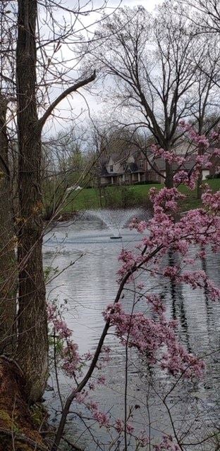 Sheffield Village apartment for rent - a body of water with pink flowers on a tree