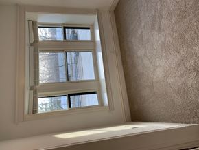 Saint Louis apartment for rent - A window with white trim and a view of a tree outside.