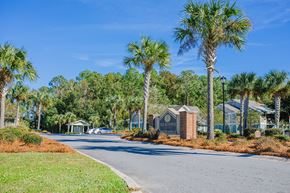 St. Mary's apartment for rent - the preserve at ballantyne commons apartments street view and palm trees