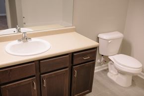 Valdosta apartment for rent - an empty bathroom with a sink toilet and mirror