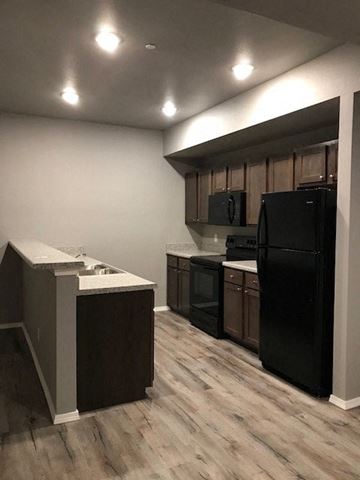 Siloam Springs apartment for rent - a kitchen with a black refrigerator and a sink