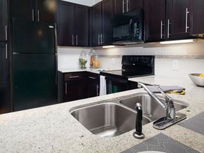 Sandy Springs apartment for rent - a kitchen with a sink and a black refrigerator