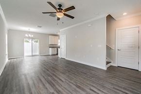 Tampa apartment for rent - an empty living room with a ceiling fan