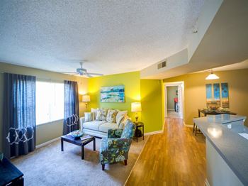 Decorated living room with natural light