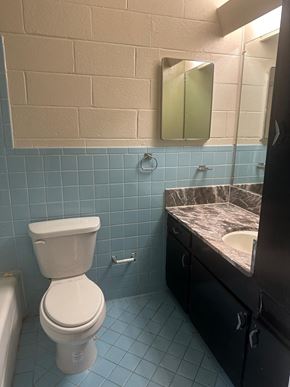 Laredo apartment for rent - a bathroom with a toilet and a sink