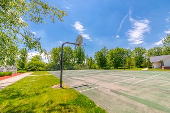 Basketball court