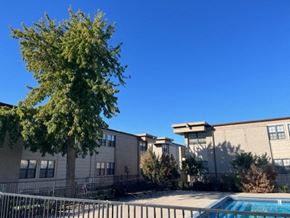 Oklahoma City apartment for rent - an apartment building with a swimming pool and a tree