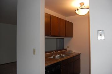 Lake Bluff apartment for rent - A kitchen with brown cabinets and a sink.