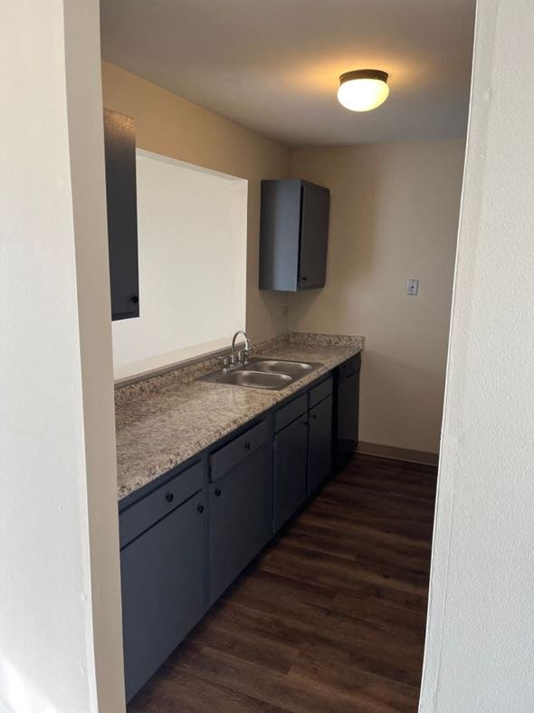 Grayslake apartment for rent - A kitchen with a sink and a cabinet.
