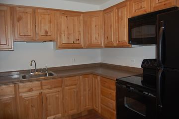 Lake Bluff apartment for rent - a kitchen with wooden cabinets and black appliances